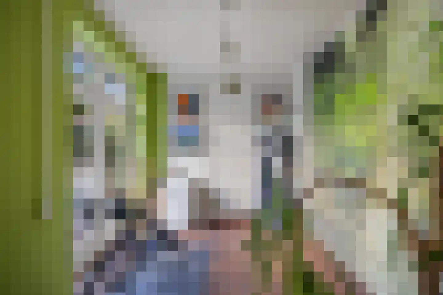 Vlijmense Dijk 20 Vlijmen thumbnail 43