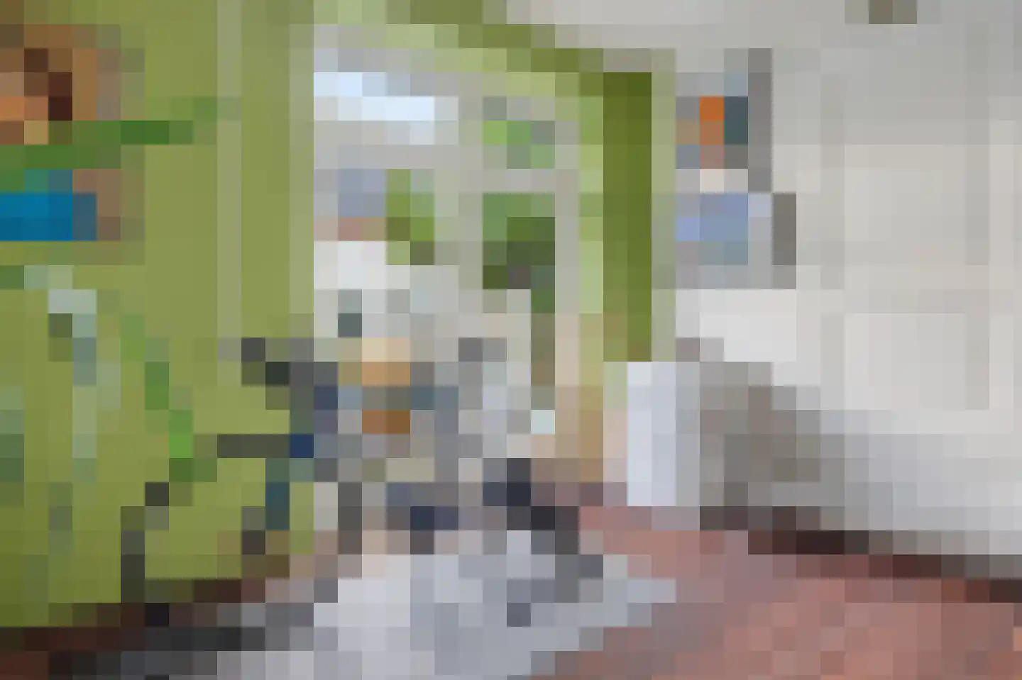Vlijmense Dijk 20 Vlijmen thumbnail 44