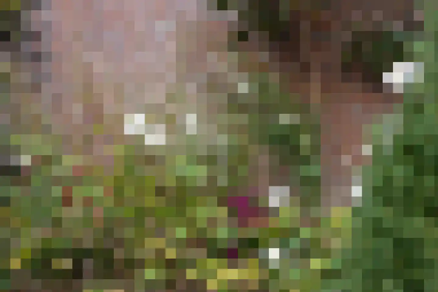 Vlijmense Dijk 20 Vlijmen thumbnail 50
