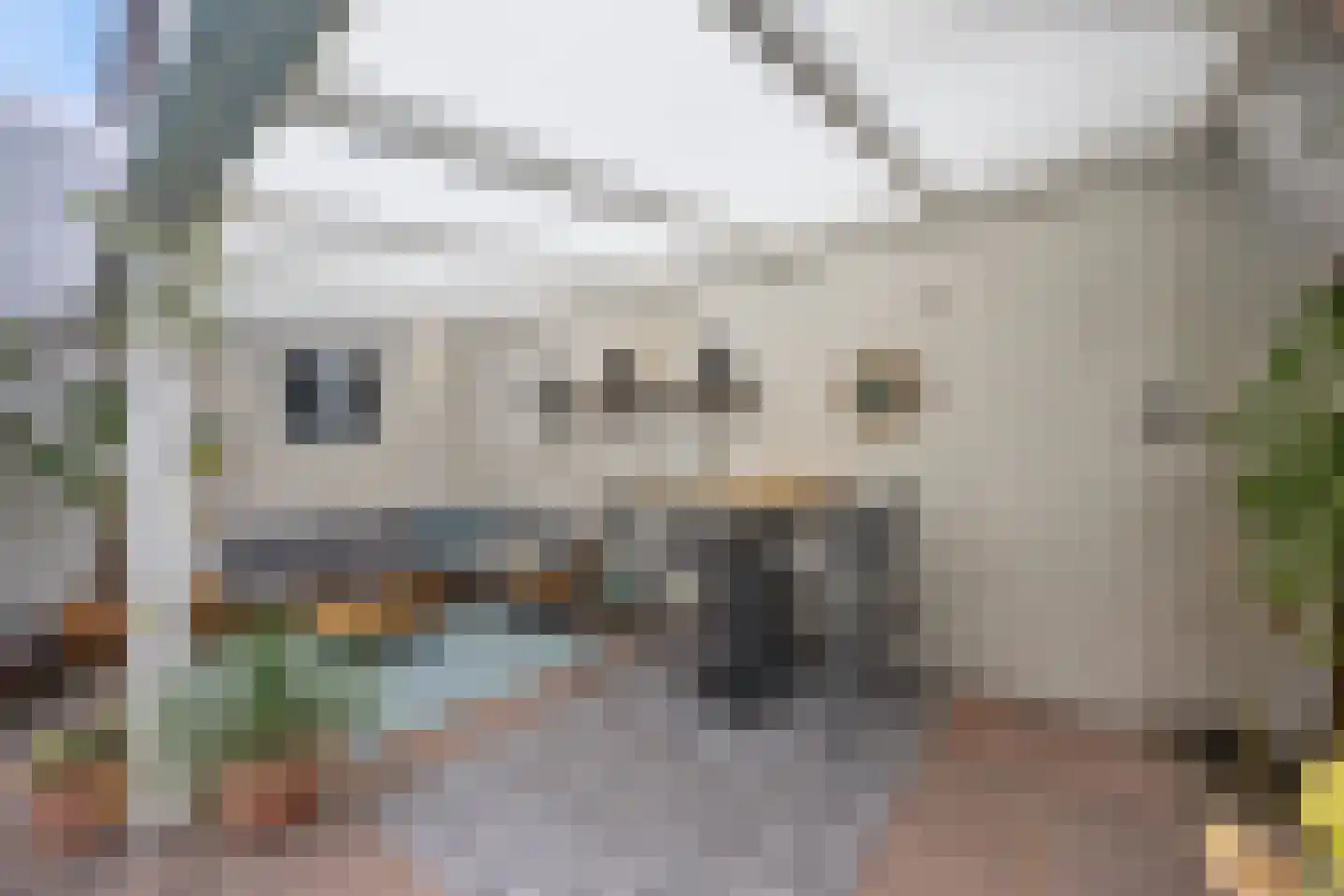 Vlijmense Dijk 20 Vlijmen thumbnail 57