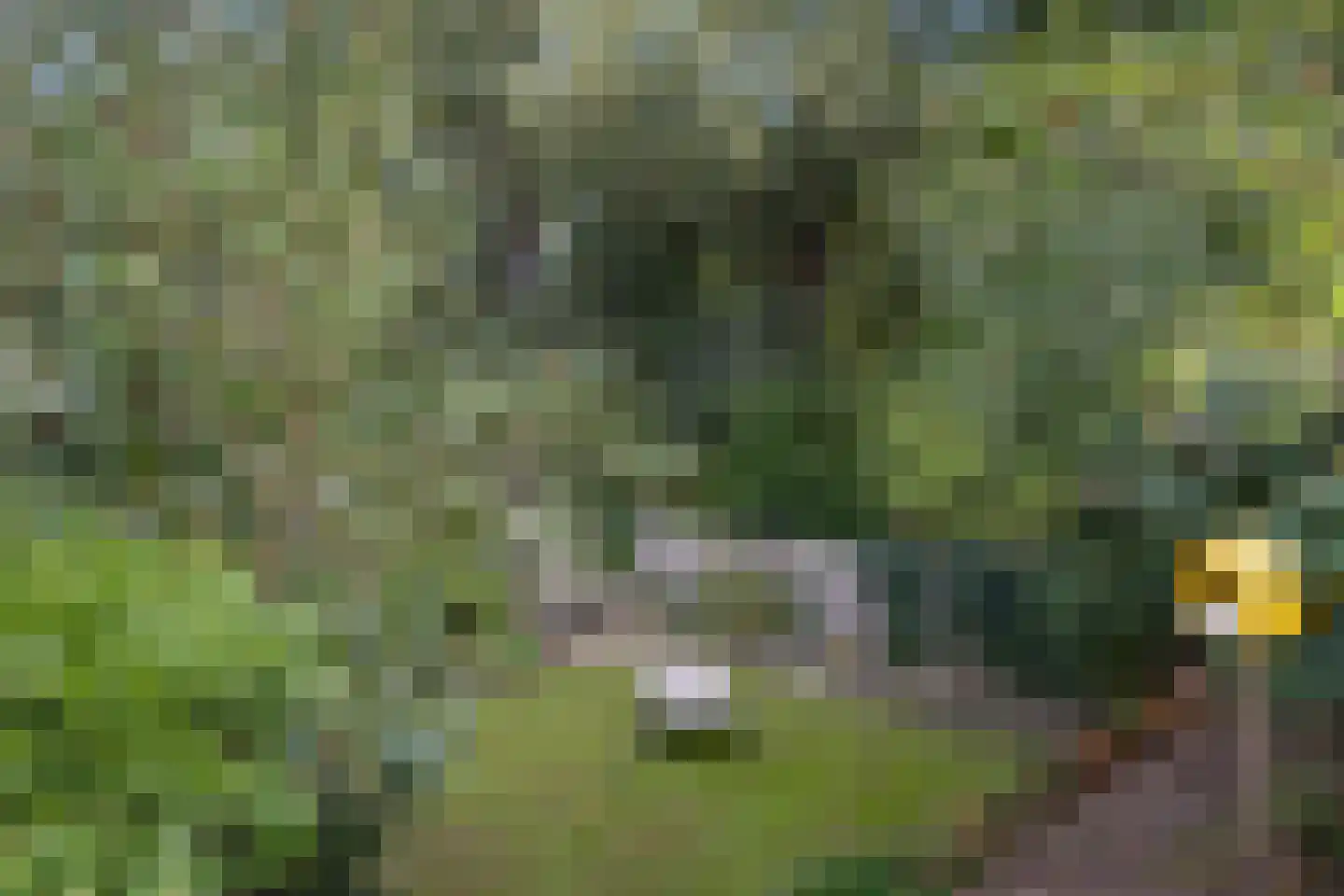 Vlijmense Dijk 20 Vlijmen thumbnail 61
