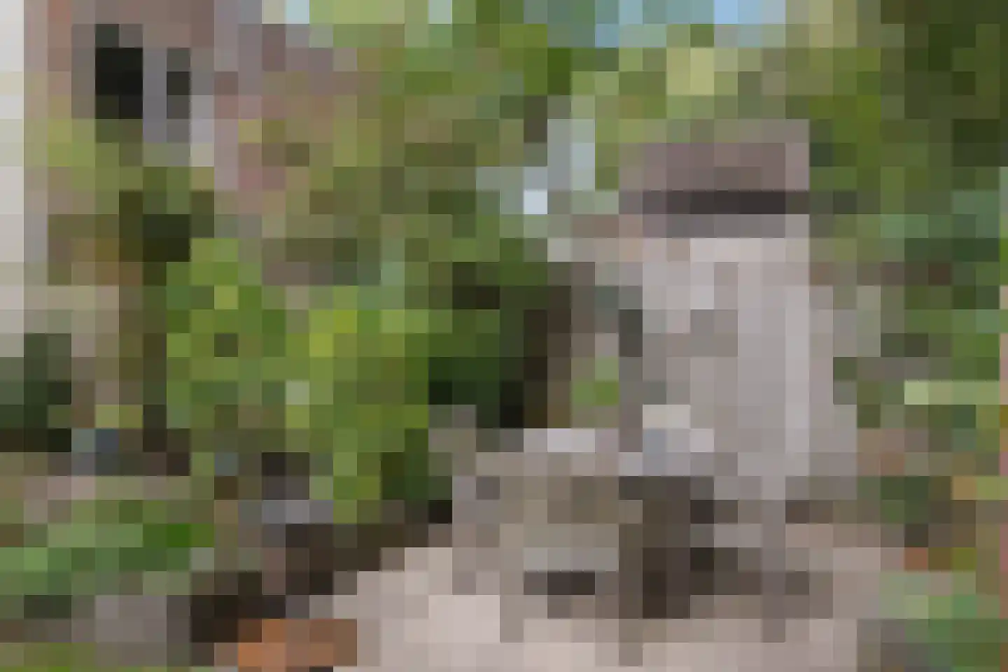 Vlijmense Dijk 20 Vlijmen thumbnail 64
