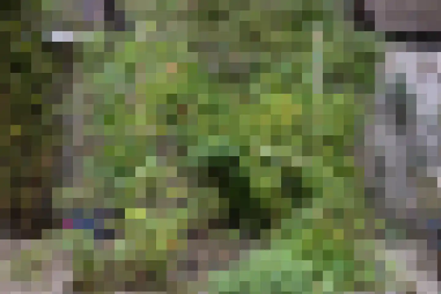 Vlijmense Dijk 20 Vlijmen thumbnail 65