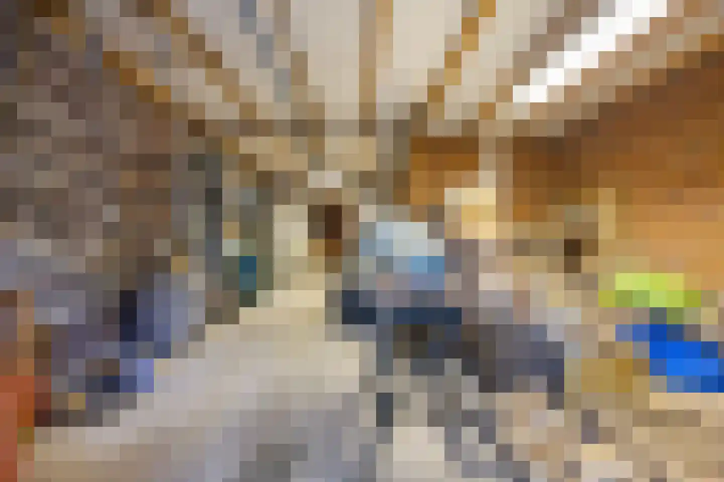 Vlijmense Dijk 20 Vlijmen thumbnail 72