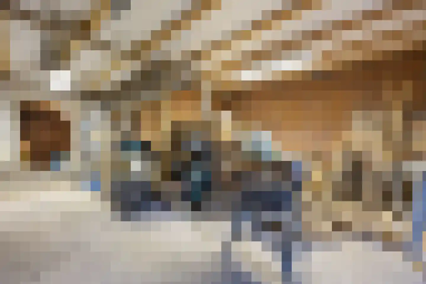 Vlijmense Dijk 20 Vlijmen thumbnail 73