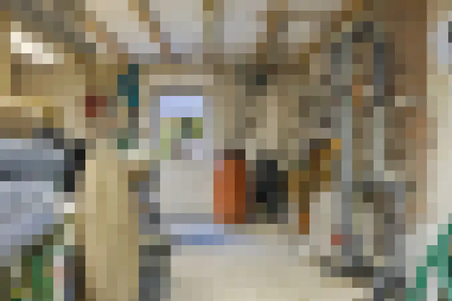 Vlijmense Dijk 20 Vlijmen thumbnail 75