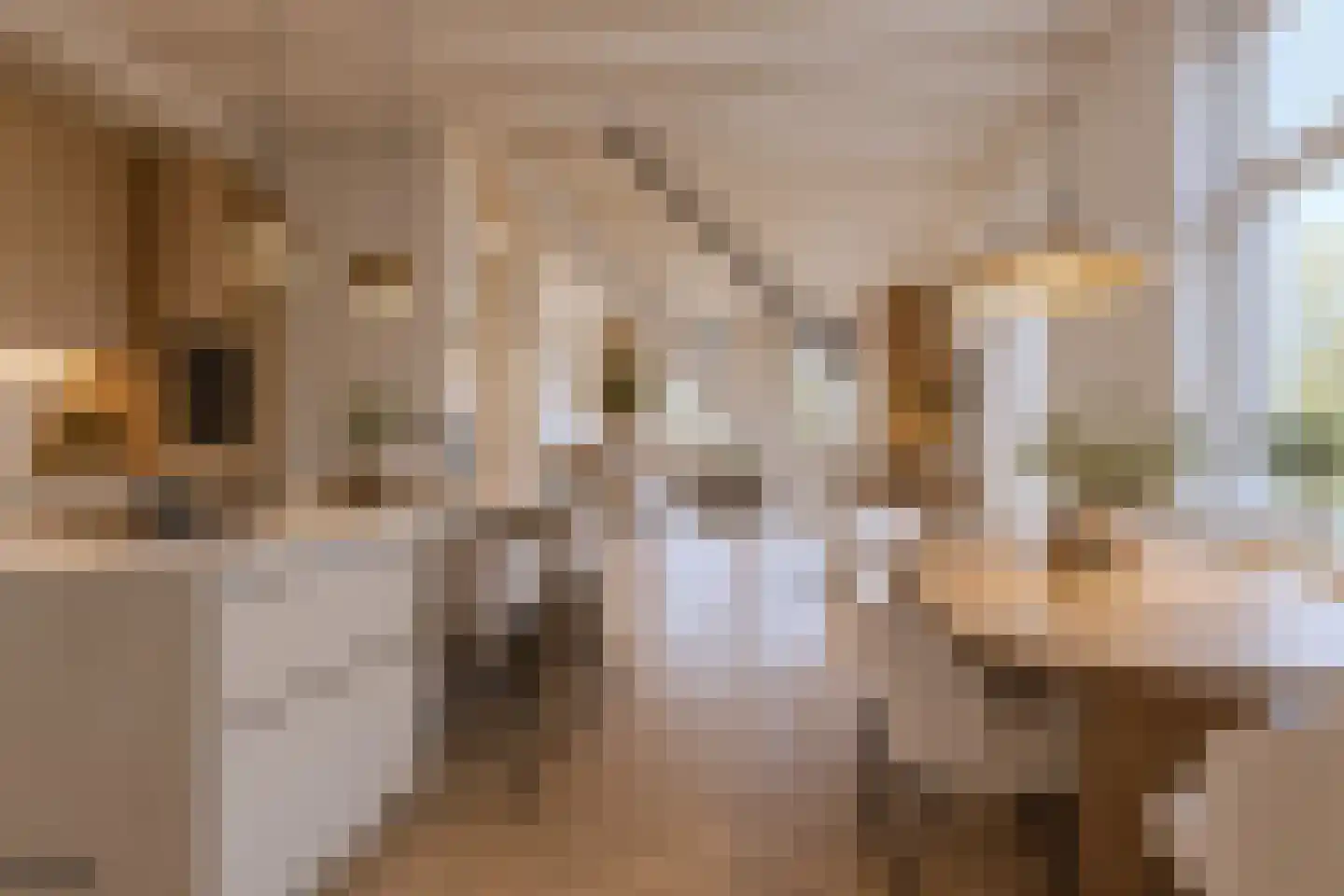 Vlijmenseweg 52 's-Hertogenbosch thumbnail 6