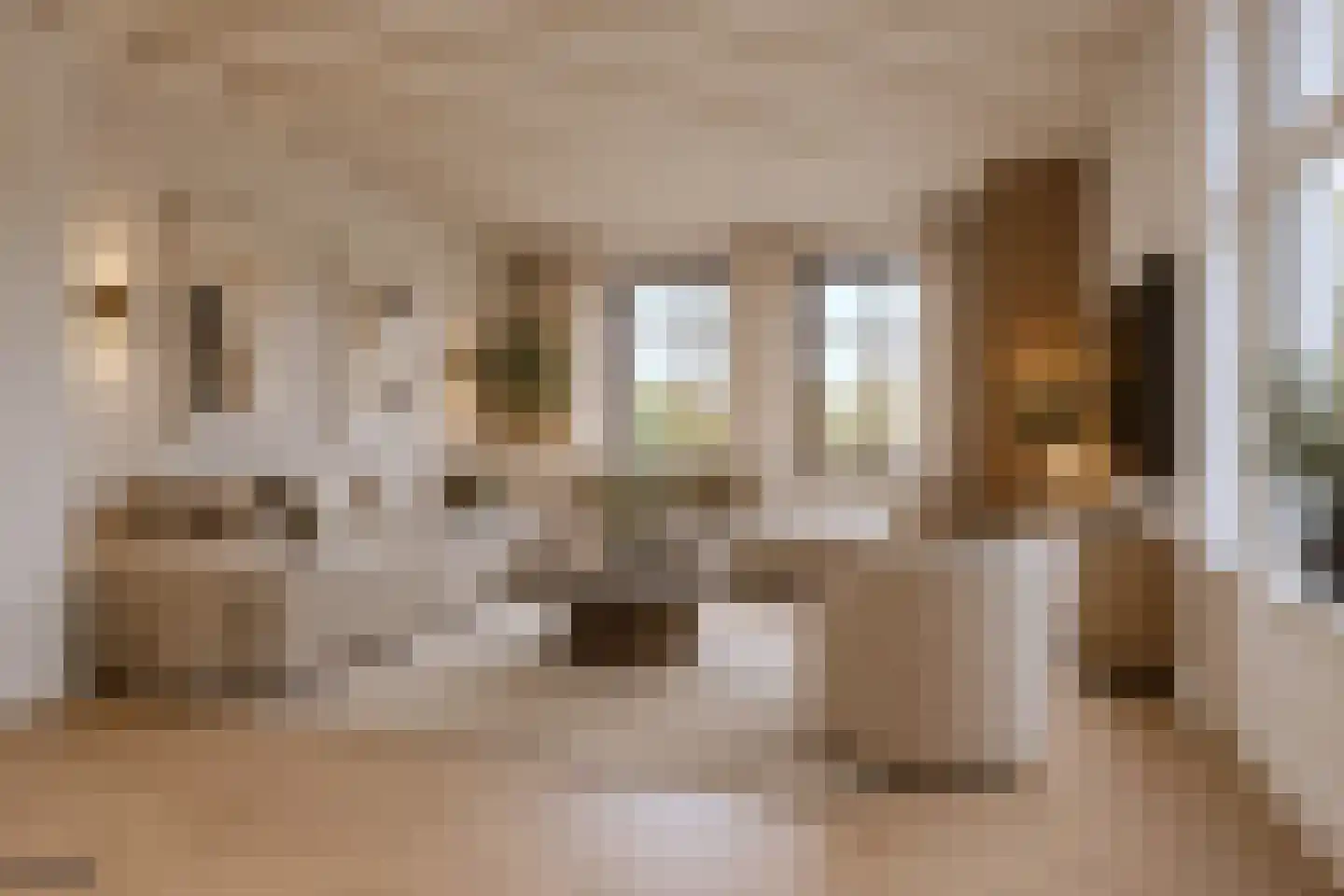 Vlijmenseweg 52 's-Hertogenbosch thumbnail 8