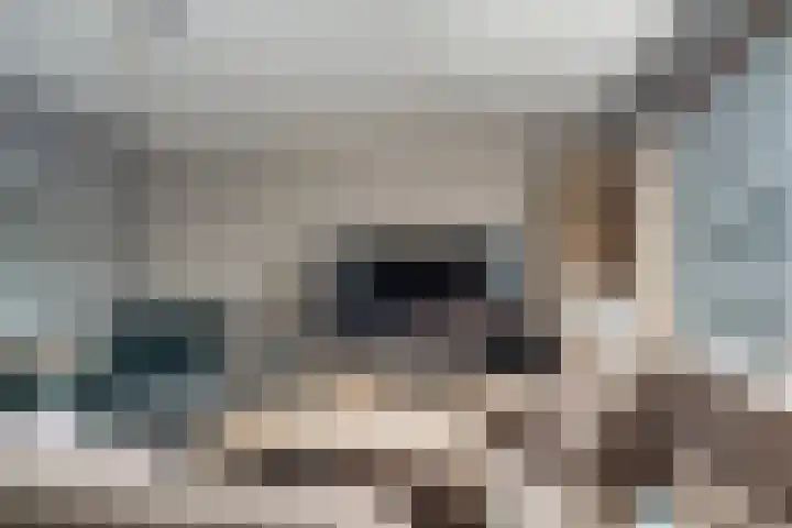 Vlijmenweg 31 Arnhem thumbnail 10