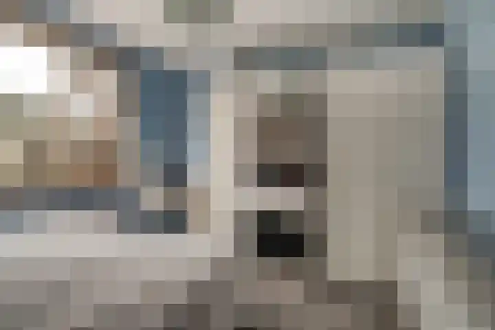 Vlijmenweg 31 Arnhem thumbnail 18