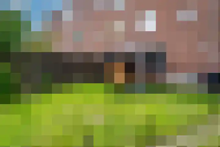 Vlijmenweg 31 Arnhem thumbnail 22