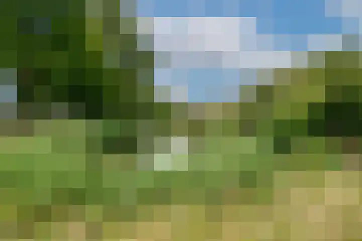 Vlijmenweg 31 Arnhem thumbnail 23