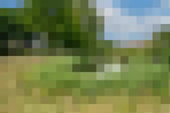 Vlijmenweg 31 Arnhem thumbnail 24
