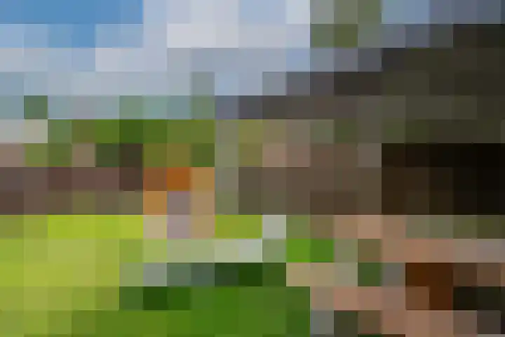Vlijmenweg 31 Arnhem thumbnail 5