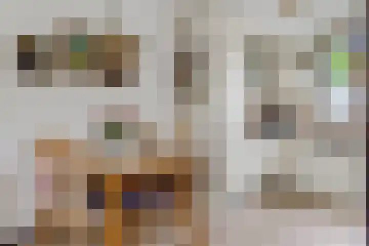 Vlijmenweg 40 Arnhem thumbnail 10