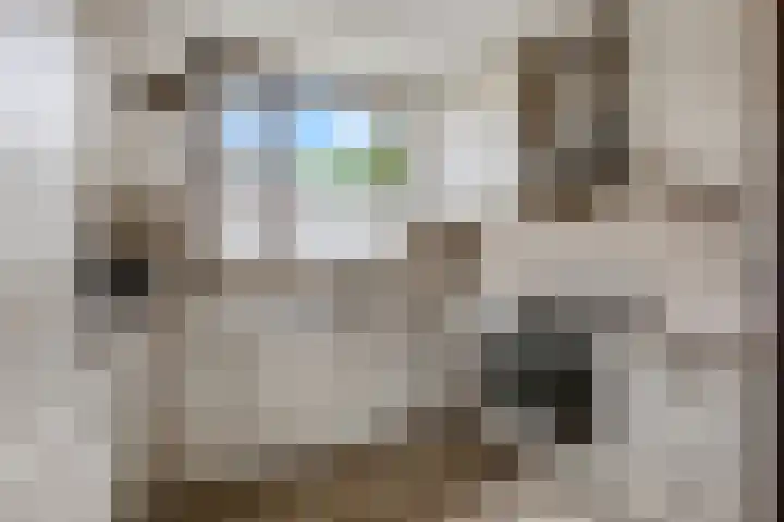Vlijmenweg 40 Arnhem thumbnail 11