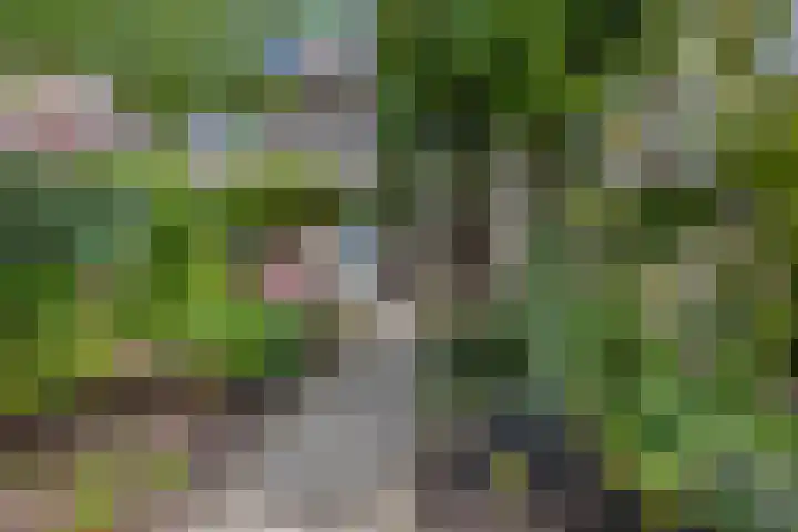 Vlijmenweg 40 Arnhem thumbnail 25