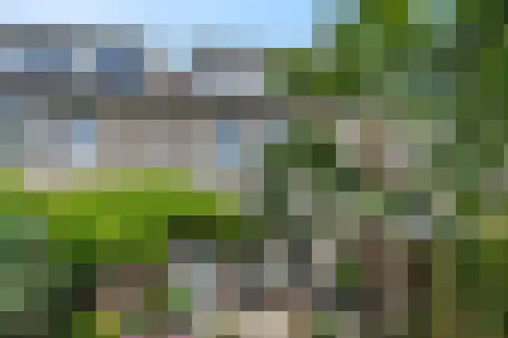 Vlijmenweg 40 Arnhem thumbnail 26