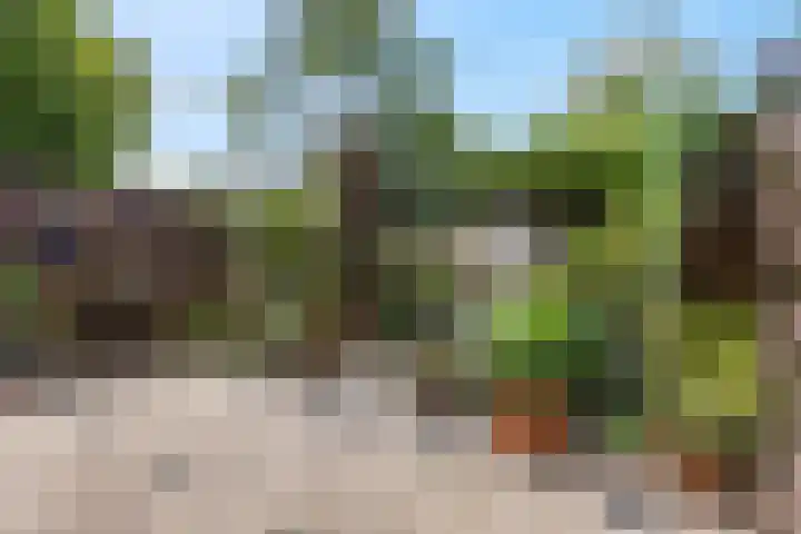 Vlijmenweg 40 Arnhem thumbnail 27