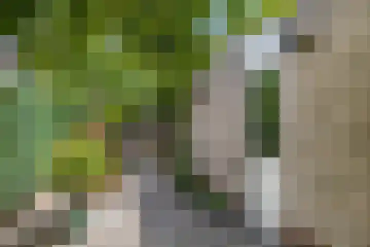 Vlijmenweg 40 Arnhem thumbnail 29