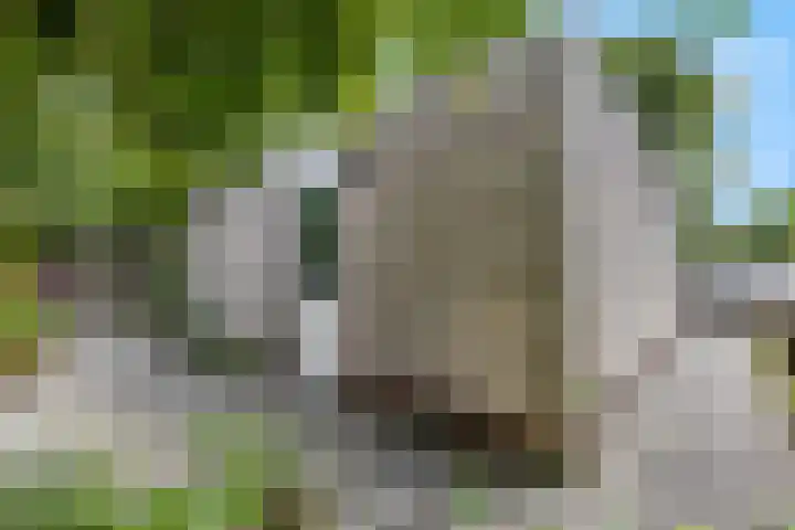 Vlijmenweg 40 Arnhem thumbnail 30