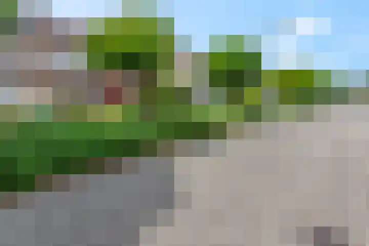 Vlijmenweg 40 Arnhem thumbnail 34