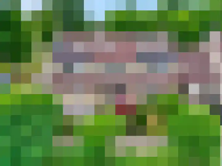 Vlijmenweg 40 Arnhem thumbnail 40