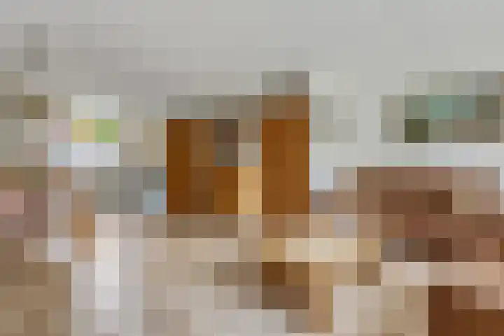 Vlijmenweg 40 Arnhem thumbnail 6