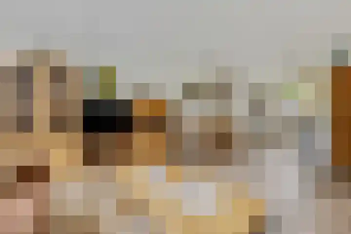Vlijmenweg 40 Arnhem thumbnail 7