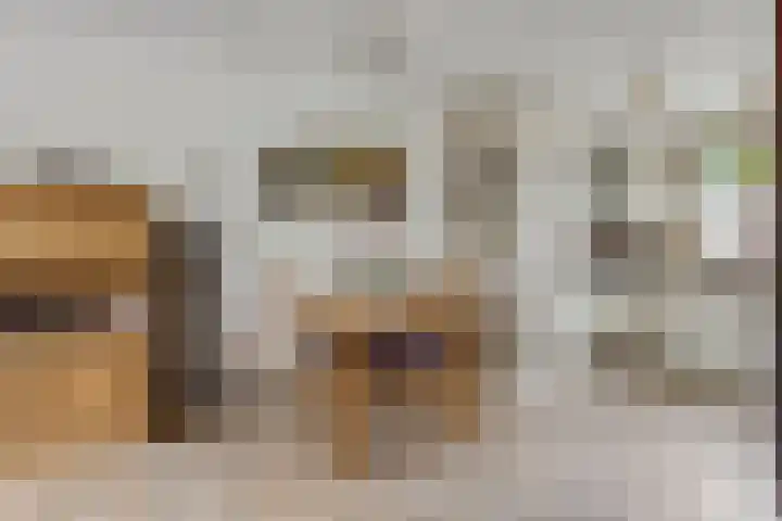 Vlijmenweg 40 Arnhem thumbnail 9