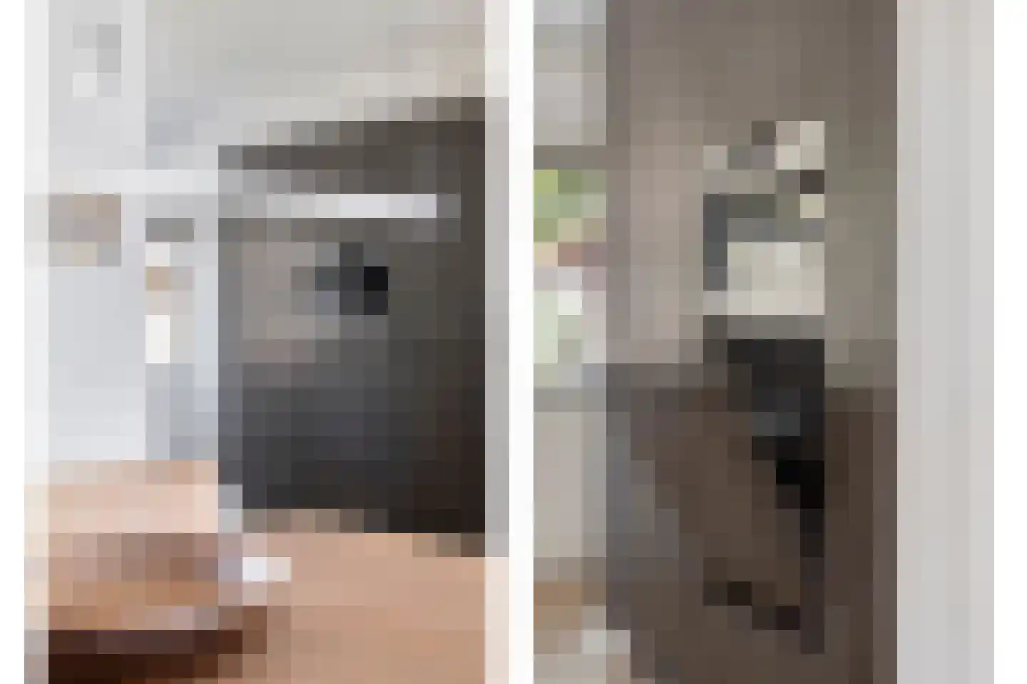 Vlijst 5 Bergeijk thumbnail 10