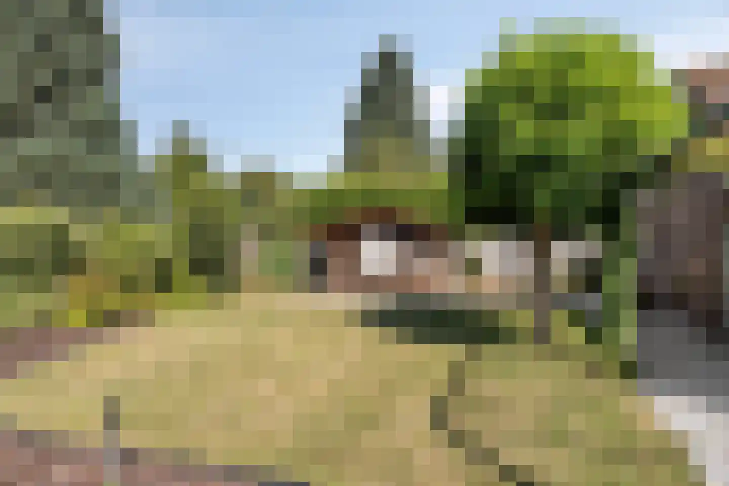 Vlijst 5 Bergeijk thumbnail 29