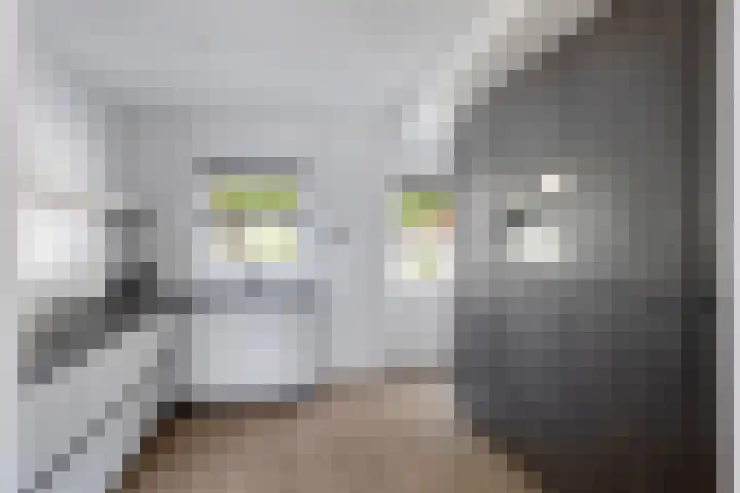 Vlijst 5 Bergeijk thumbnail 8
