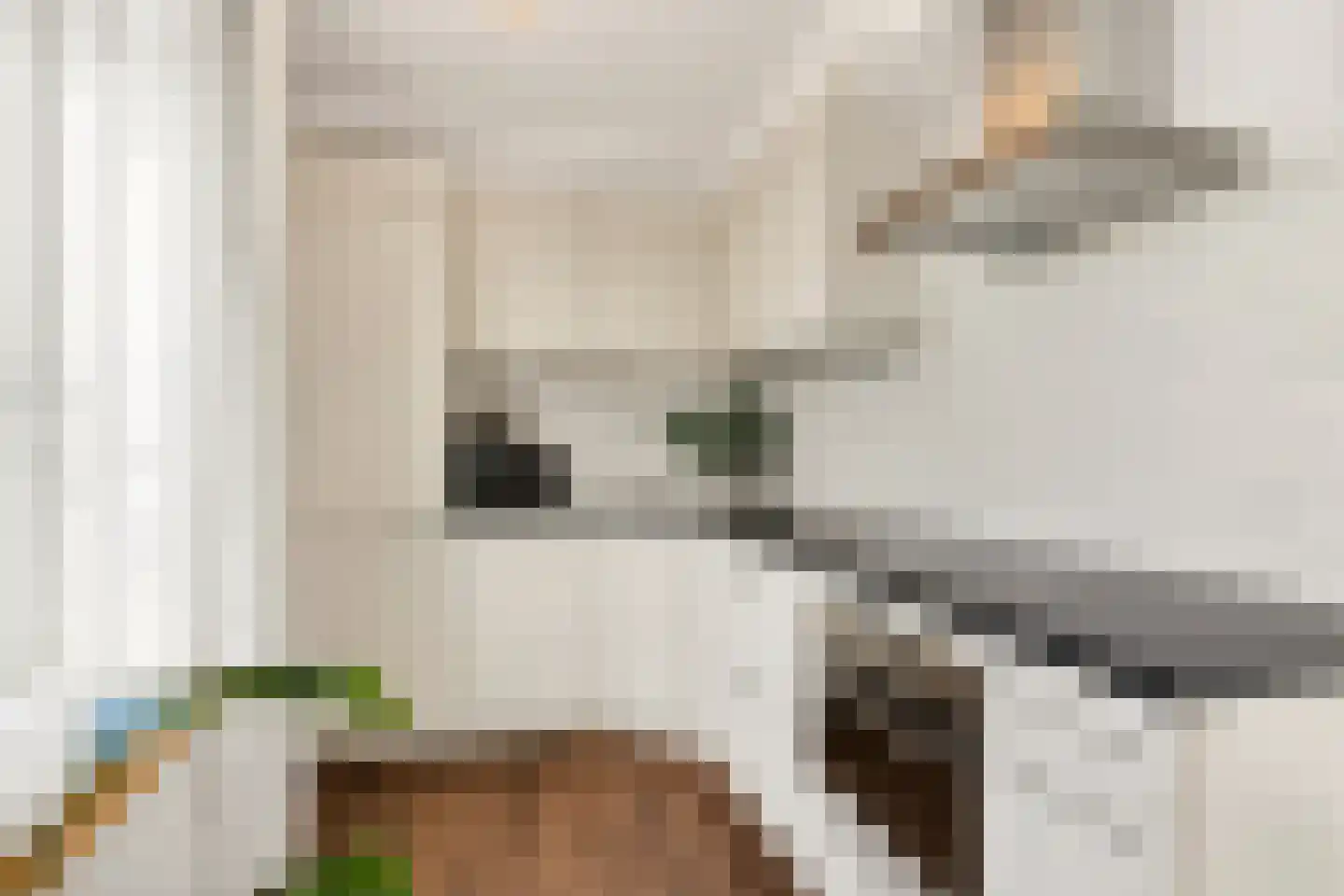 Vlijt en Phoenix 14 Bodegraven thumbnail 21