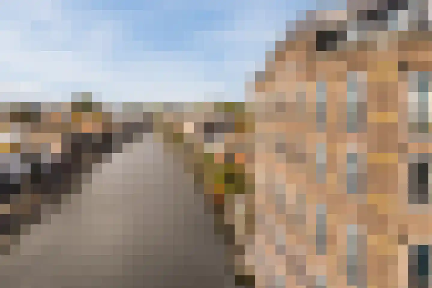 Vlijt en Phoenix 14 Bodegraven thumbnail 36