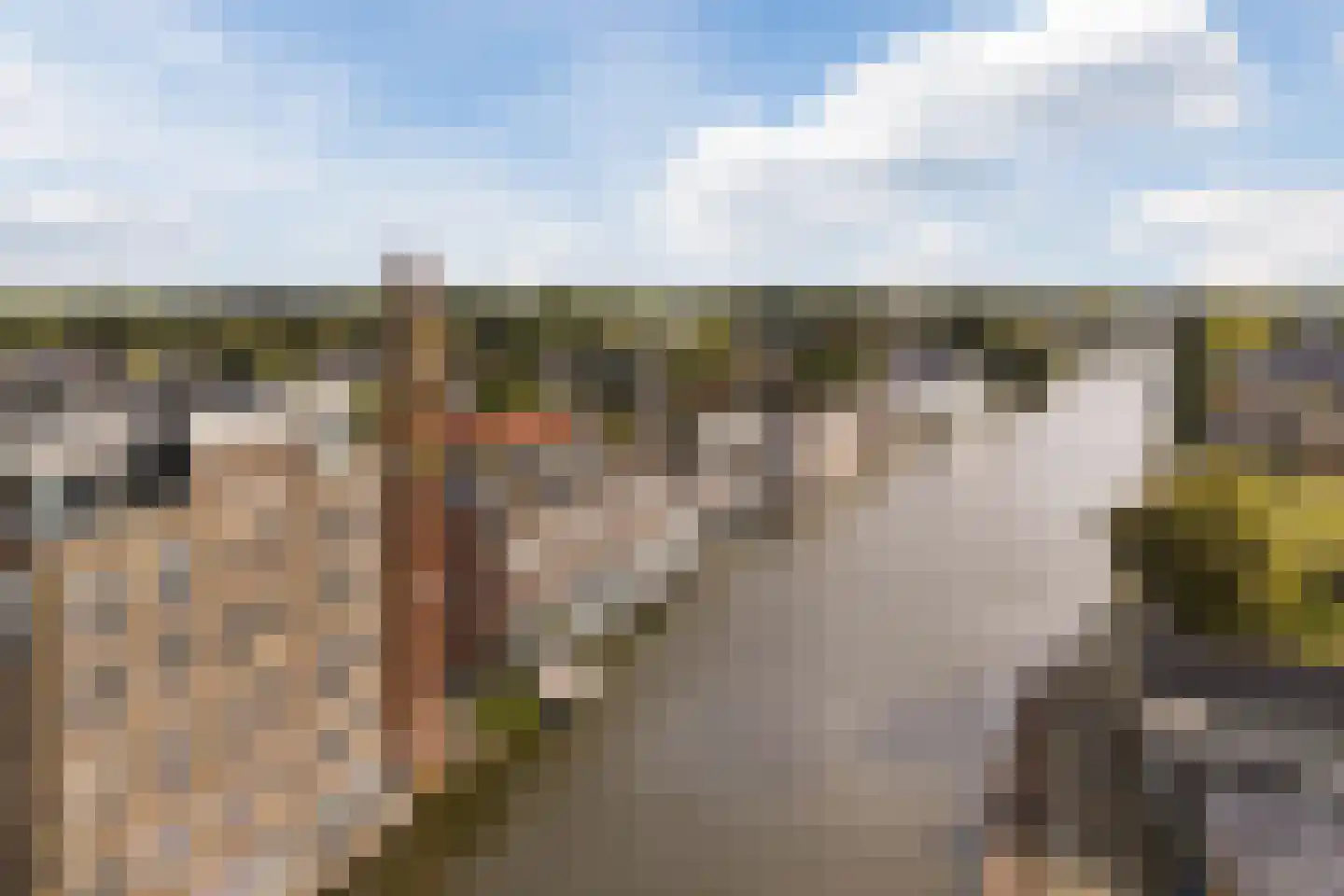 Vlijt en Phoenix 14 Bodegraven thumbnail 37