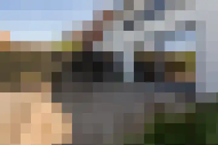 Vlijtsekade 171 Apeldoorn thumbnail 11