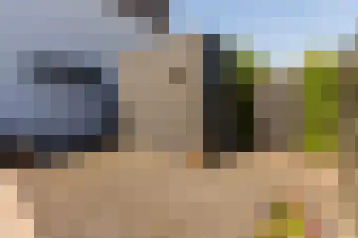 Vlijtsekade 171 Apeldoorn thumbnail 12