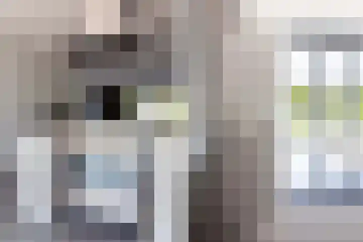 Vlijtsekade 171 Apeldoorn thumbnail 23
