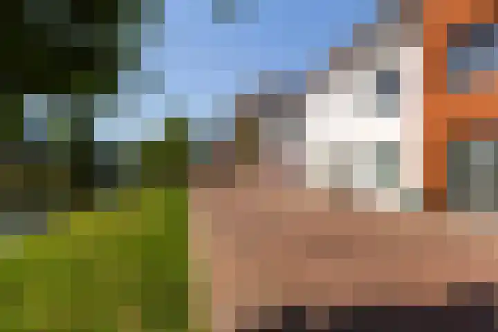 Vlijtsekade 171 Apeldoorn thumbnail 41