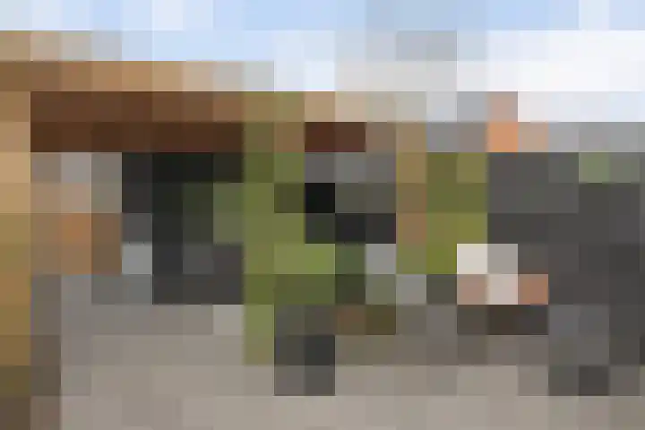 Vlijtsekade 173 Apeldoorn thumbnail 24