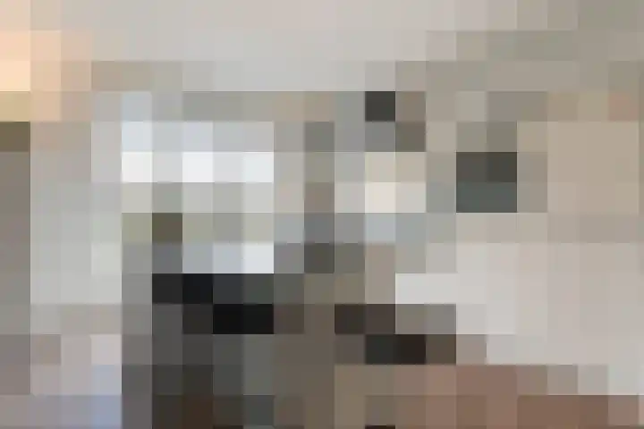 Vlijtsekade 173 Apeldoorn thumbnail 4