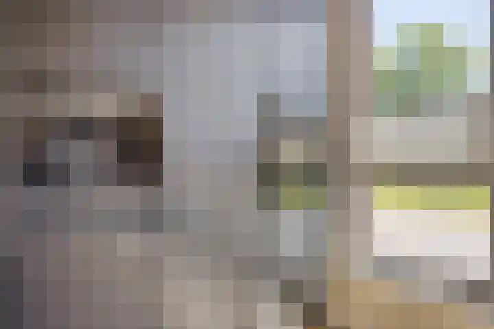 Vlijtsekade 195 Apeldoorn thumbnail 15