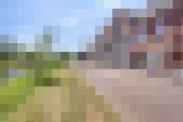 Vlijtsekade 195 Apeldoorn thumbnail 30