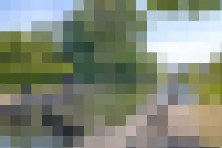 Vlijtsekade 195 Apeldoorn thumbnail 31