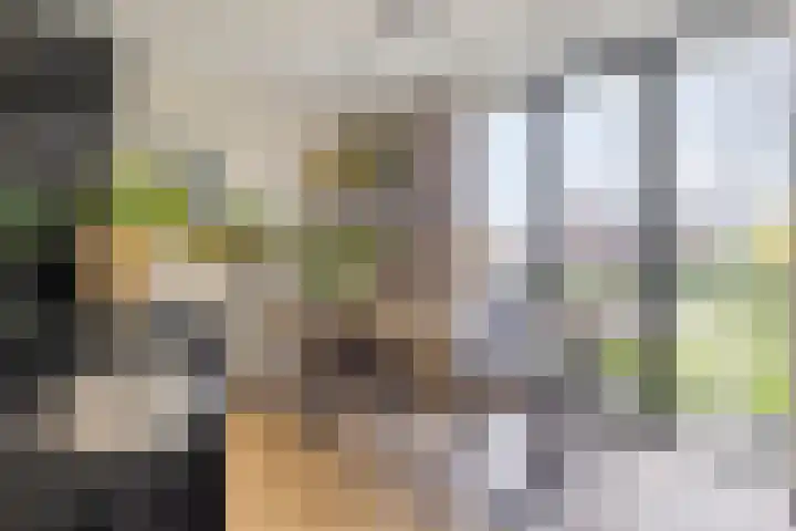 Vlijtsemolen 25 Apeldoorn thumbnail 11