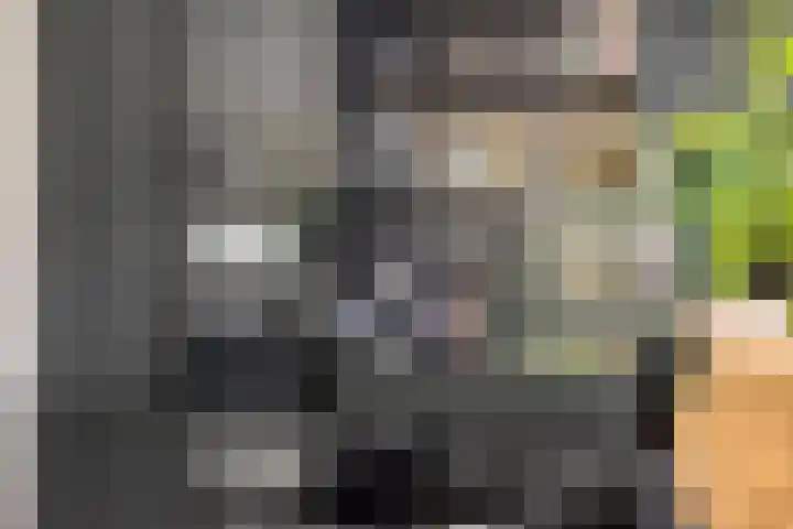 Vlijtsemolen 25 Apeldoorn thumbnail 13