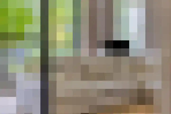 Vlijtsemolen 25 Apeldoorn thumbnail 15