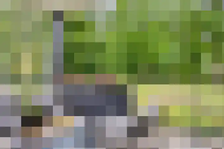 Vlijtsemolen 25 Apeldoorn thumbnail 25