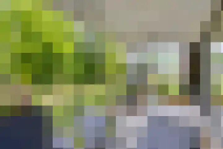 Vlijtsemolen 25 Apeldoorn thumbnail 26